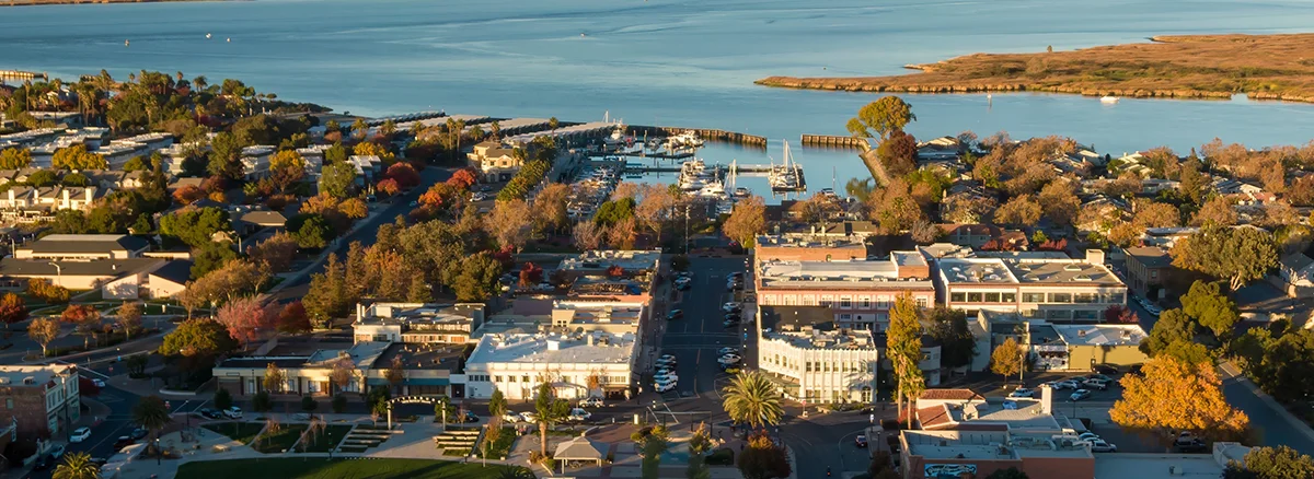 town near ocean | estate management service