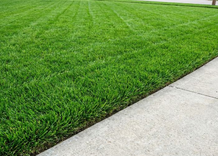 Importance of Curb Appeal